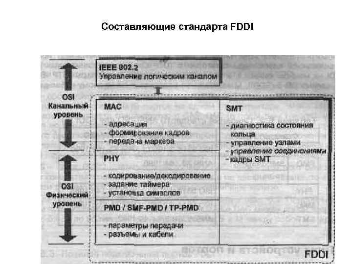 Составляющие стандарта FDDI 