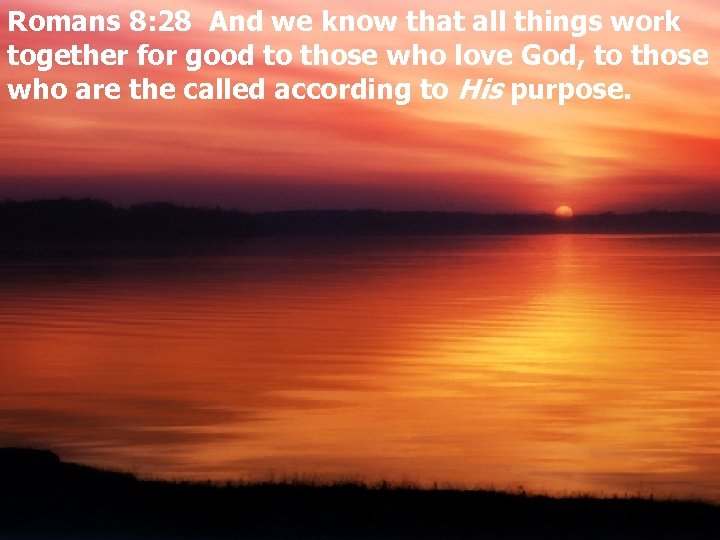 Romans 8: 28 And we know that all things work together for good to