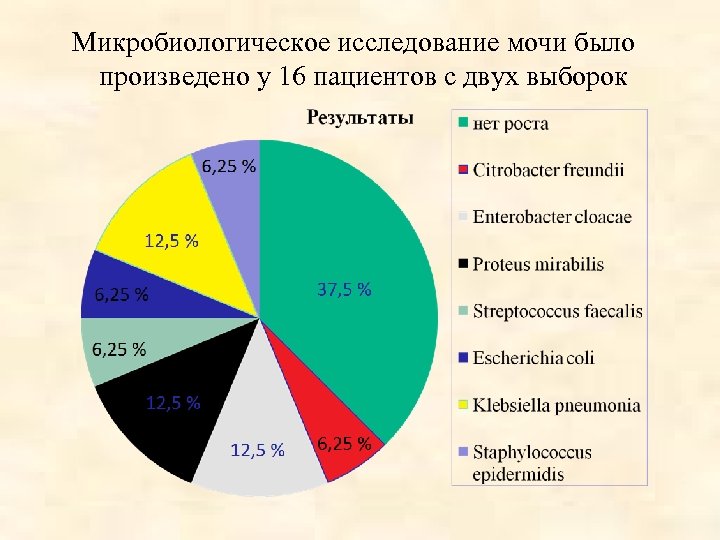 Микробиологическое исследование мочи было произведено у 16 пациентов с двух выборок 