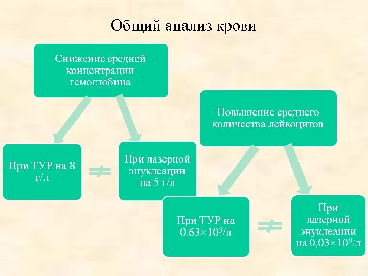 Общий анализ крови 