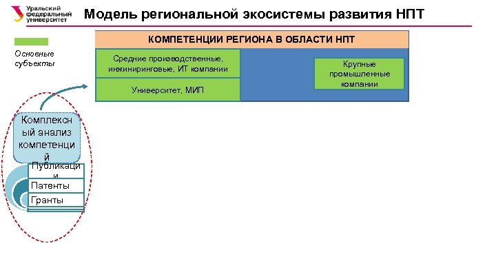 Модель региональной экосистемы развития НПТ КОМПЕТЕНЦИИ РЕГИОНА В ОБЛАСТИ НПТ Основные субъекты Средние производственные,