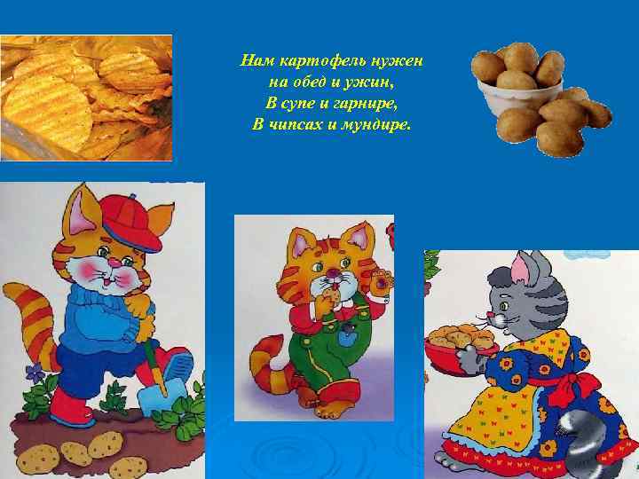 Нам картофель нужен на обед и ужин, В супе и гарнире, В чипсах и
