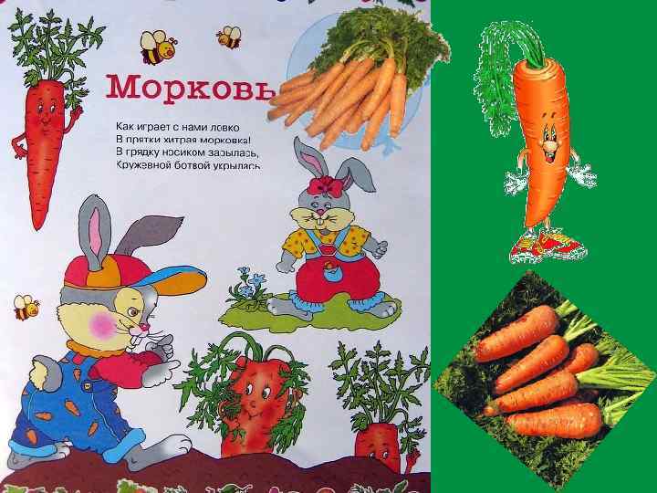 Загадка про морковь. Детский стишок про морковку. Загадка про морковь для детей.