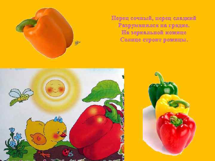 Перец сочный, перец сладкий Разрумянился на грядке. На зеркальной кожице Солнце строит рожицы. 