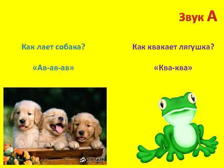 Звук А Как лает собака? Как квакает лягушка? «Ав-ав-ав» «Ква-ква» 