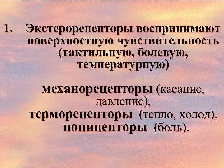 1. Экстерорецепторы воспринимают поверхностную чувствительность (тактильную, болевую, температурную) механорецепторы (касание, давление), терморецепторы (тепло, холод),