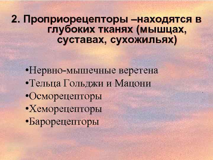 2. Проприорецепторы –находятся в глубоких тканях (мышцах, суставах, сухожильях) • Нервно мышечные веретена •