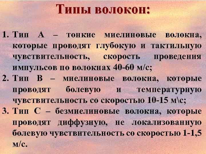 Типы волокон: 1. Тип А – тонкие миелиновые волокна, которые проводят глубокую и тактильную