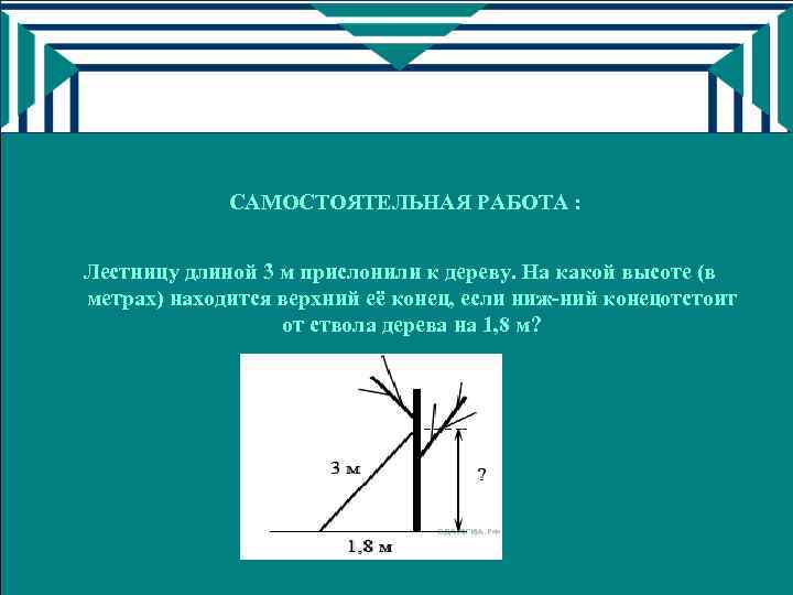 САМОСТОЯТЕЛЬНАЯ РАБОТА : Лестницу длиной 3 м прислонили к дереву. На какой высоте (в