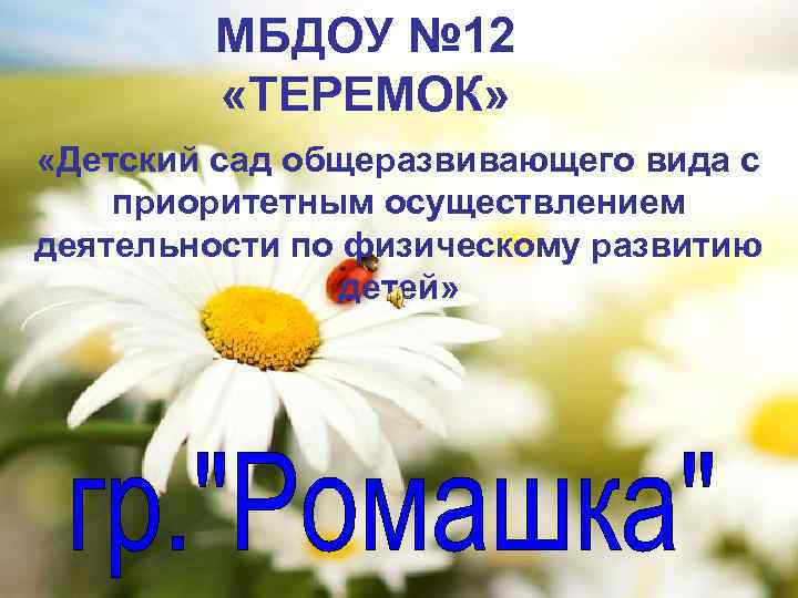 МБДОУ № 12 «ТЕРЕМОК» «Детский сад общеразвивающего вида с приоритетным осуществлением деятельности по физическому