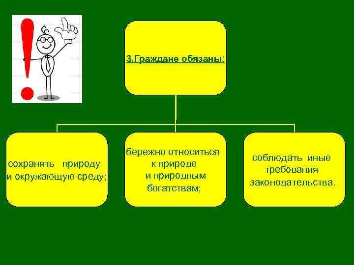 3. Граждане обязаны: сохранять природу и окружающую среду; бережно относиться к природе и природным