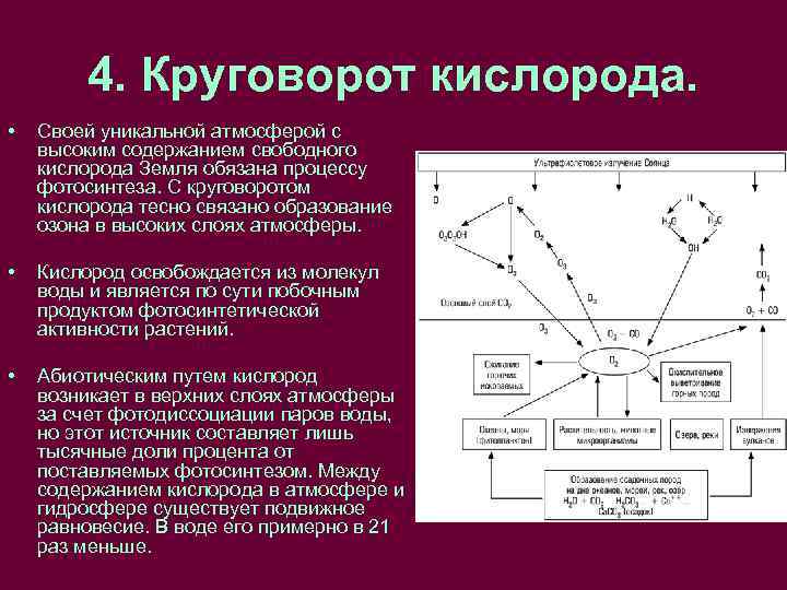 Круговорот кислорода презентация 11 класс