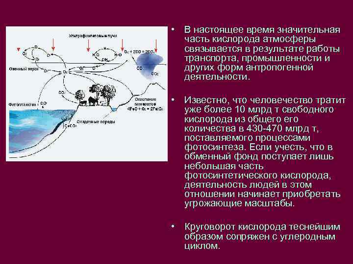 • В настоящее время значительная часть кислорода атмосферы связывается в результате работы транспорта,