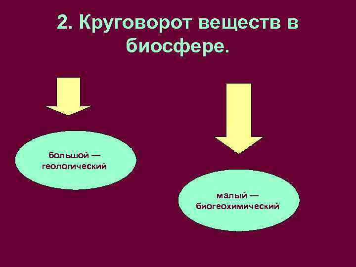 2. Круговорот веществ в биосфере. большой — геологический малый — биогеохимический 