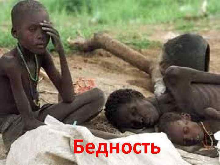 Бедность 