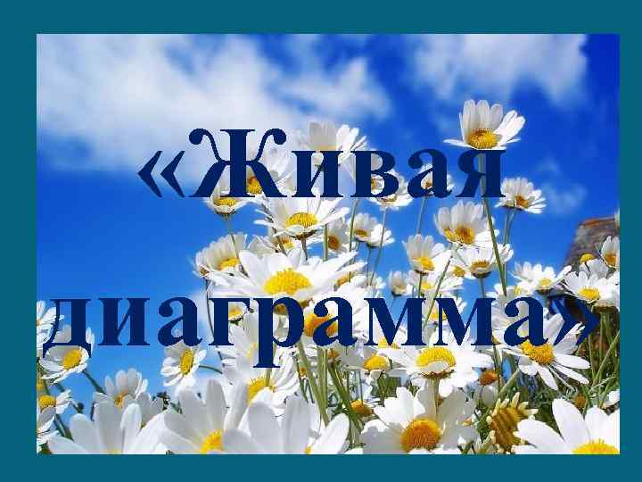  «Живая диаграмма» 