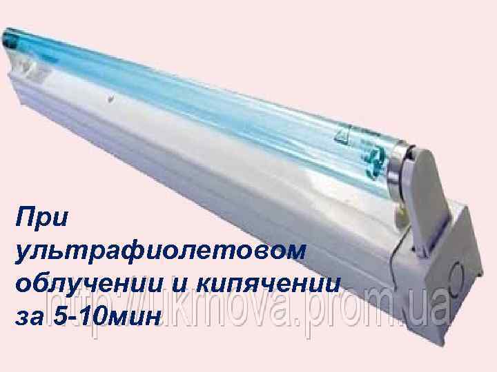 При ультрафиолетовом облучении и кипячении за 5 -10 мин 