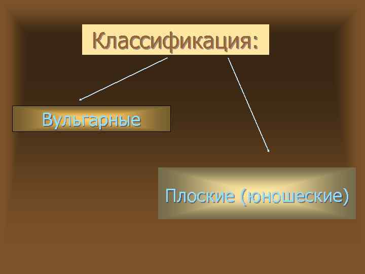 Классификация: Вульгарные Плоские (юношеские) 