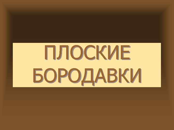 ПЛОСКИЕ БОРОДАВКИ 