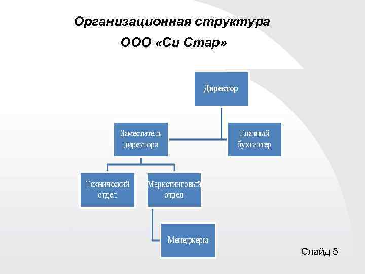 Организационная структура ООО «Си Стар» Слайд 5 