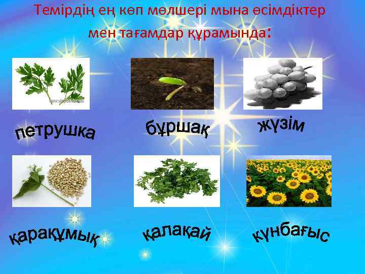 Темірдің ең көп мөлшері мына өсімдіктер мен тағамдар құрамында: 