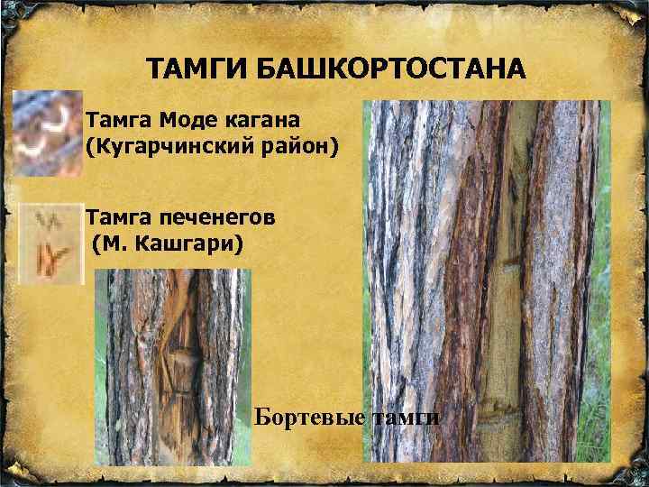 ТАМГИ БАШКОРТОСТАНА Тамга Моде кагана (Кугарчинский район) Тамга печенегов (М. Кашгари) Бортевые тамги 