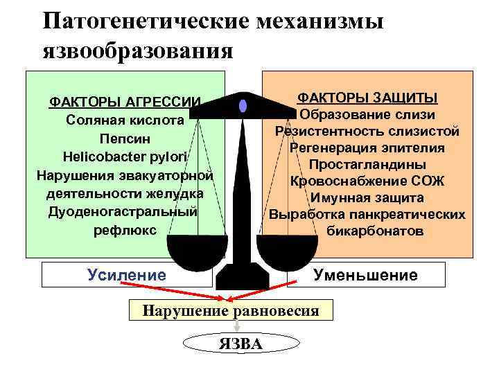 Патогенетические механизмы язвообразования ФАКТОРЫ АГРЕССИИ Соляная кислота Пепсин Helicobacter pylori Нарушения эвакуаторной деятельности желудка