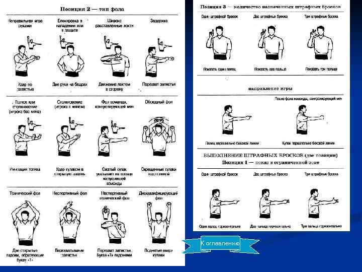 К оглавлению 