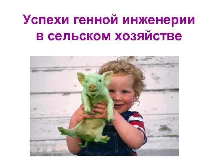 Успехи генной инженерии в сельском хозяйстве 