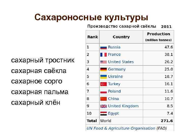Сахароносные культуры сахарный тростник сахарная свёкла сахарное сорго сахарная пальма сахарный клён 