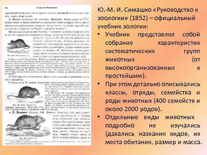 Ю. -М. И. Симашко «Руководство к зоологии» (1852) – официальный учебник зологии: • Учебник