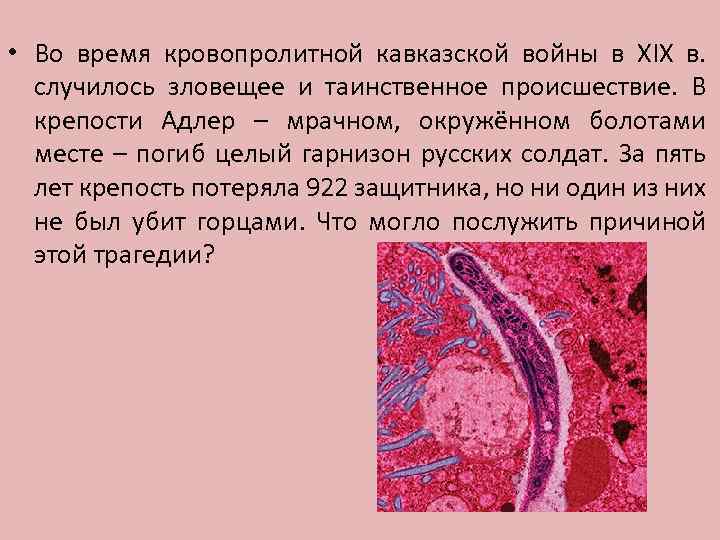  • Во время кровопролитной кавказской войны в XIX в. случилось зловещее и таинственное