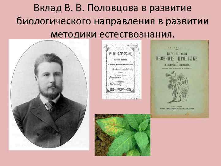 Вклад В. В. Половцова в развитие биологического направления в развитии методики естествознания. 