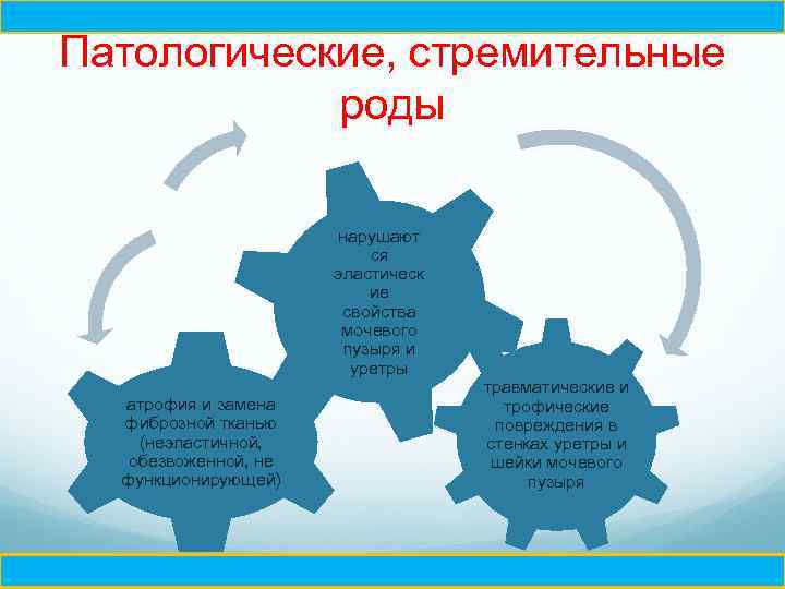 Ч Патологические, стремительные роды нарушают ся эластическ ие свойства мочевого пузыря и уретры атрофия