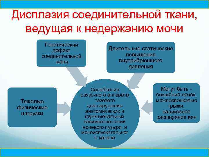 Ч Дисплазия соединительной ткани, ведущая к недержанию мочи Генетический дефект соединительной ткани Тяжелые физические