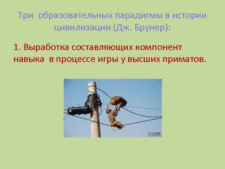Три образовательных парадигмы в истории цивилизации (Дж. Брунер): 1. Выработка составляющих компонент навыка в