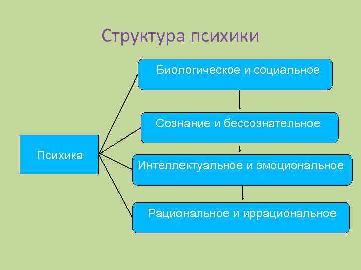 Структура психики Биологическое и социальное Сознание и бессознательное Психика Интеллектуальное и эмоциональное Рациональное и