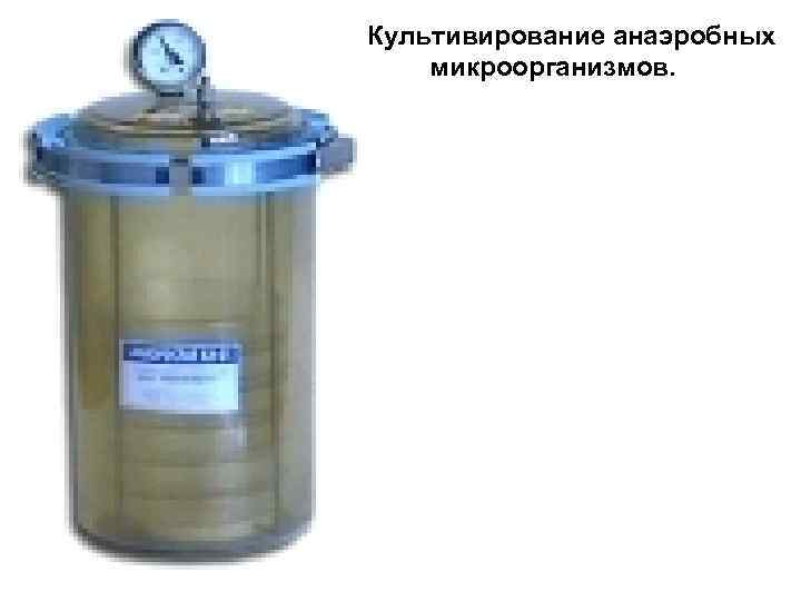 Культивирование анаэробных микроорганизмов. 