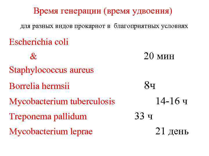 Время генерации (время удвоения) для разных видов прокариот в благоприятных условиях Escherichia coli &