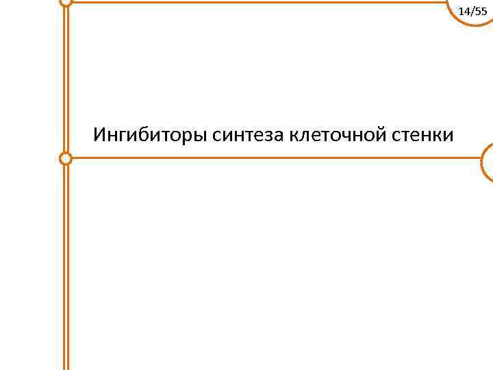 14/55 Ингибиторы синтеза клеточной стенки 