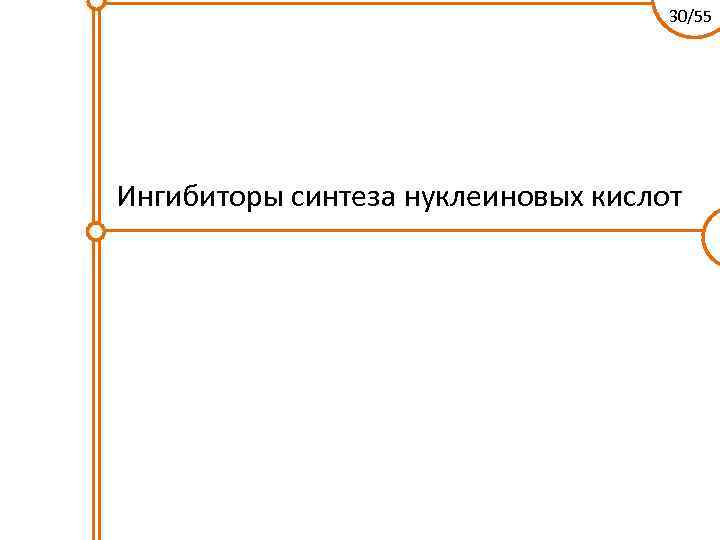 30/55 Ингибиторы синтеза нуклеиновых кислот 