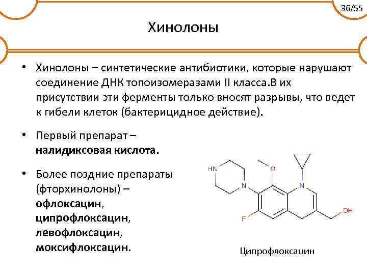 36/55 Хинолоны • Хинолоны – синтетические антибиотики, которые нарушают соединение ДНК топоизомеразами II класса.