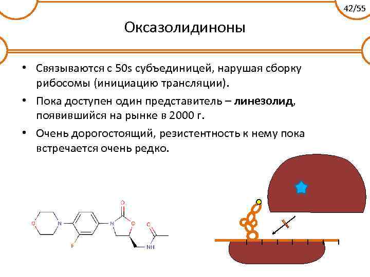 42/55 Оксазолидиноны • Связываются с 50 s субъединицей, нарушая сборку рибосомы (инициацию трансляции). •