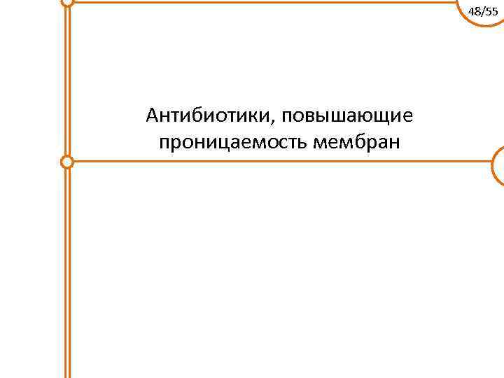 48/55 Антибиотики, повышающие проницаемость мембран 