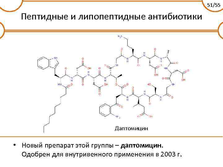 Антибиотики Лекция для студентов МБФ Чаплин Андрей 2013