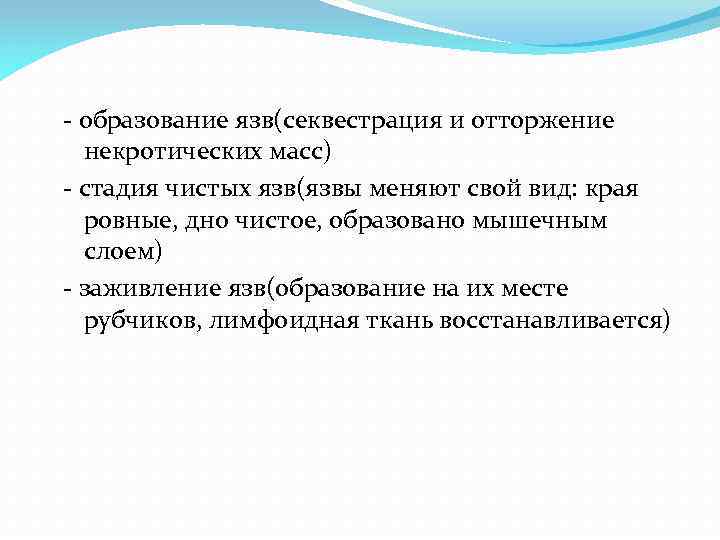  - образование язв(секвестрация и отторжение некротических масс) - стадия чистых язв(язвы меняют свой