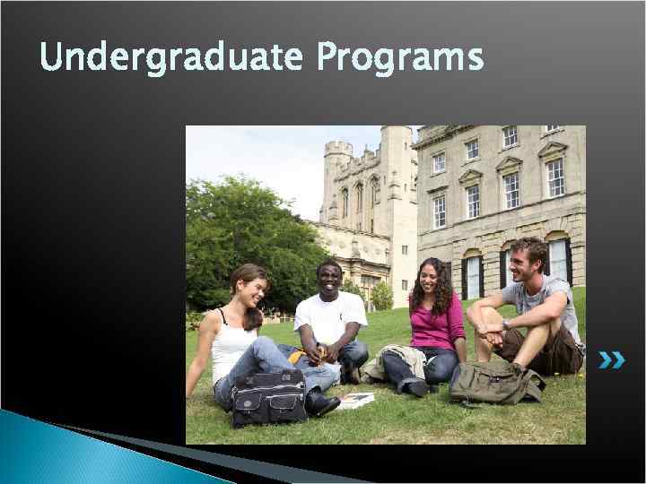 Undergraduate Programs 