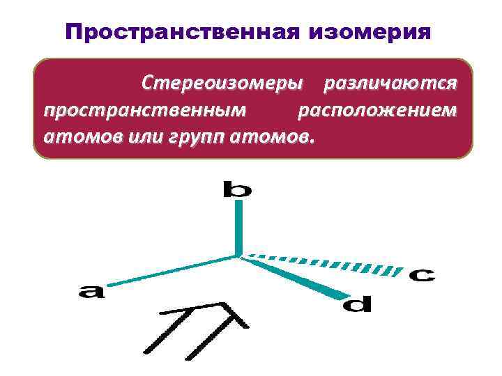 Пространственная изомерия Стереоизомеры различаются пространственным расположением атомов или групп атомов. 