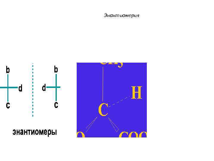 Энантиомерия 