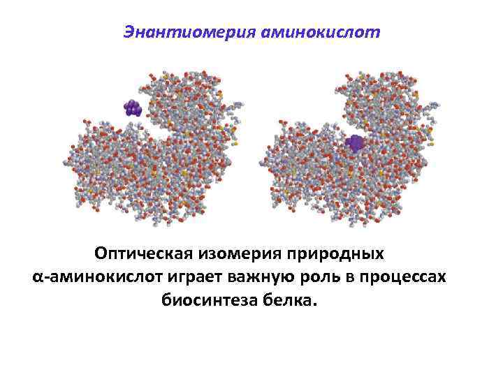 Энантиомерия аминокислот Оптическая изомерия природных α-аминокислот играет важную роль в процессах биосинтеза белка. 